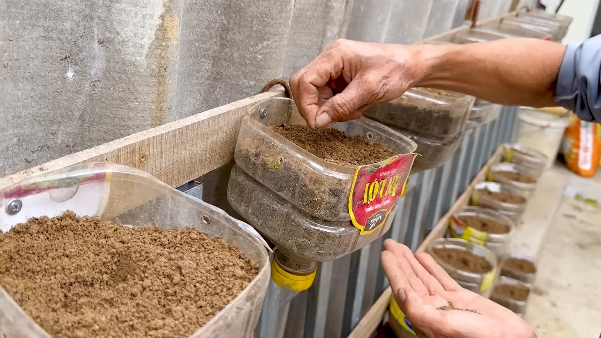 Kohl Anbau Plastikflaschen